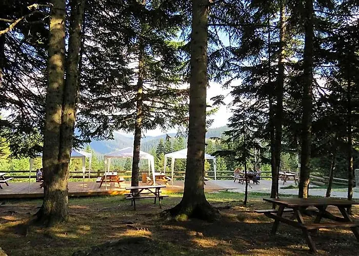 Ilgaz Mountain Resort Hotel