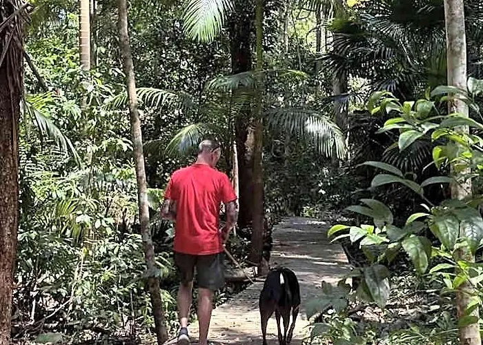 Amore On Buderim Rainforest Cabins