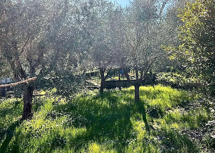 Ubika Hotel