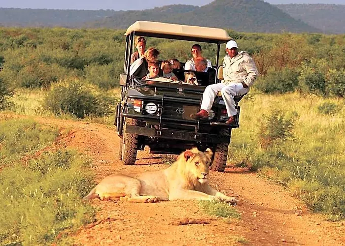Madikwe Hills Private Game Lodge