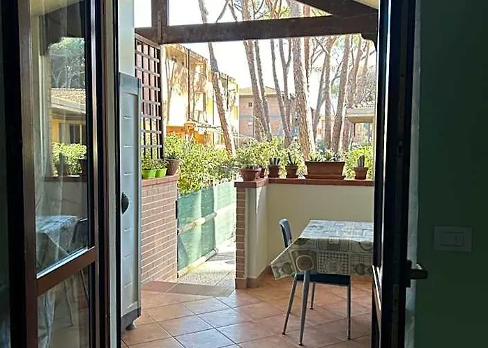 Bilocale Con Giardino
