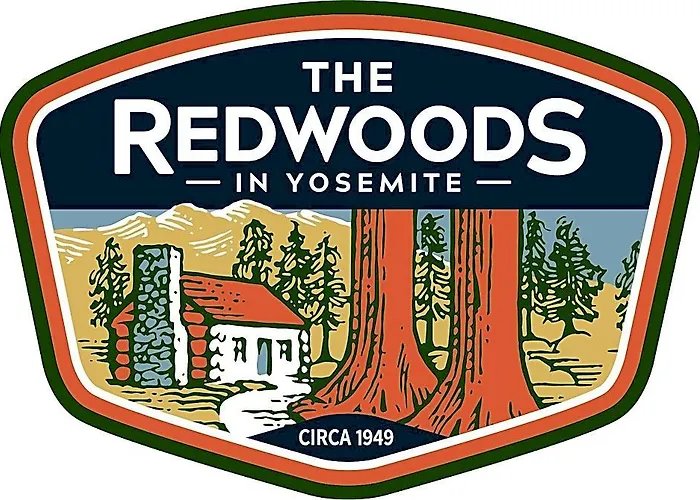 The Redwoods In Yosemite