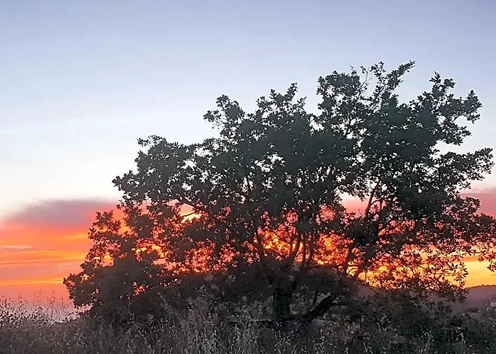 Agriturismo Le Terre Di Venere