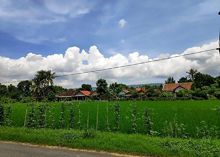 Akar Wangi 2 Homestay