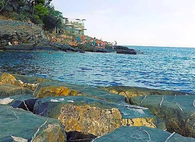 Vista Cervo