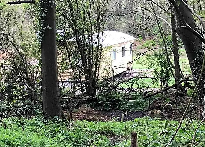 Shepherds Huts Ham Hill, 2 Double Beds, Bathroom, Lounge, Diner, Kitchen, Love Dogs & Cats Looking Out To Lake And By Ham Hill Country Park Plus Parking For Large Vehicles Available Also Great Deals On Workers Long Term This Is The Place To Relax And