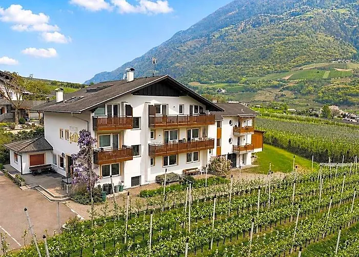 Residence Feldhof - Ferienwohnungen Mit Bergblick Im Vinschgau Inklusive Guestpass