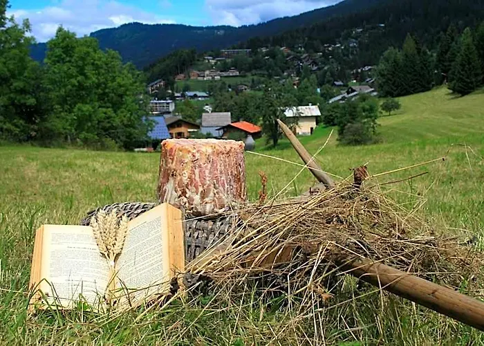 La Croix De Savoie & Spa