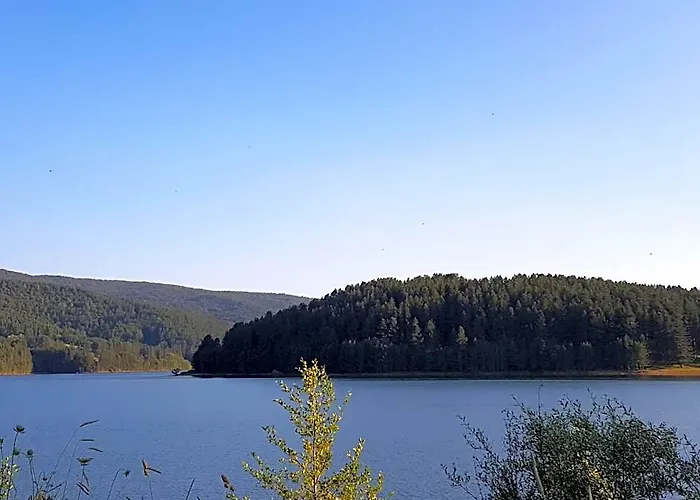 Lorica Suite Lago