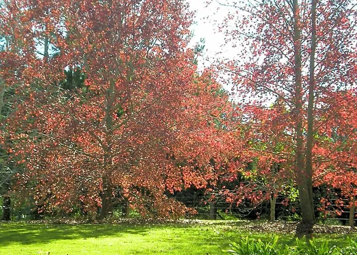Montville Country Cabins