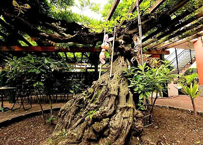 Apartment Lake Maggiore - Italia