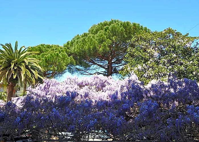 Hotel Residence Moneglia