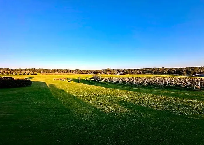 Adina Vineyard