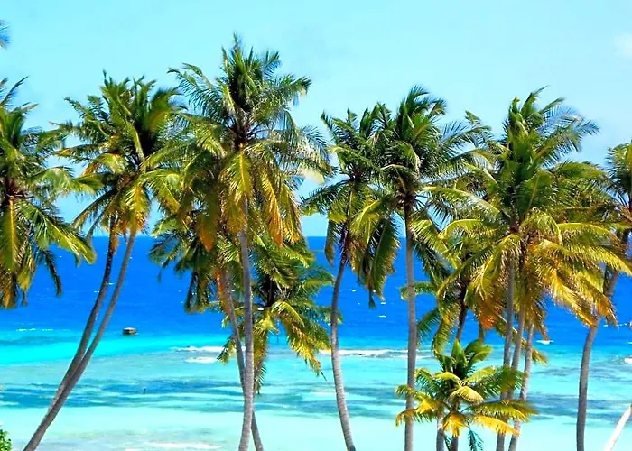Arora Inn At Maafushi Island Maldives