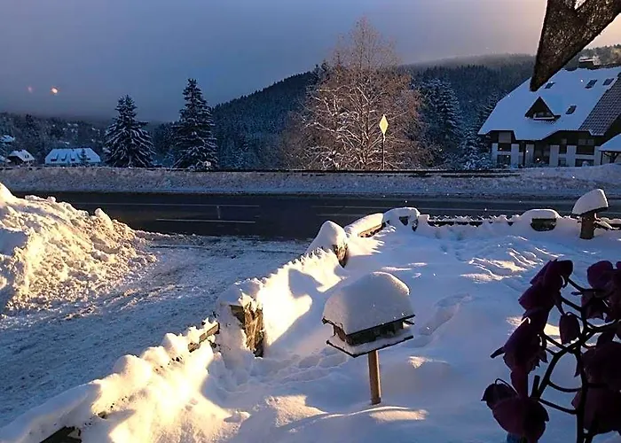 Pop-Up Stuub Feldberg