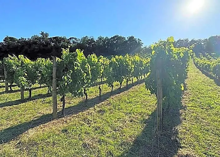 Agriturismo Montalto