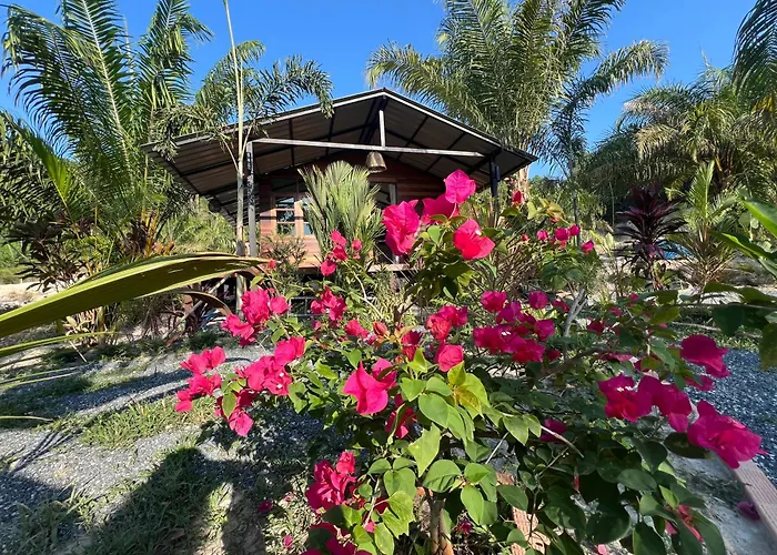 Tee Bungalow In The Jungle