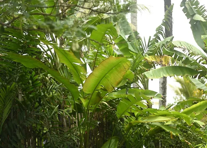 Mayava Villa