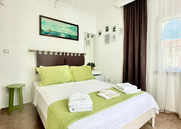 Hil Ada 1