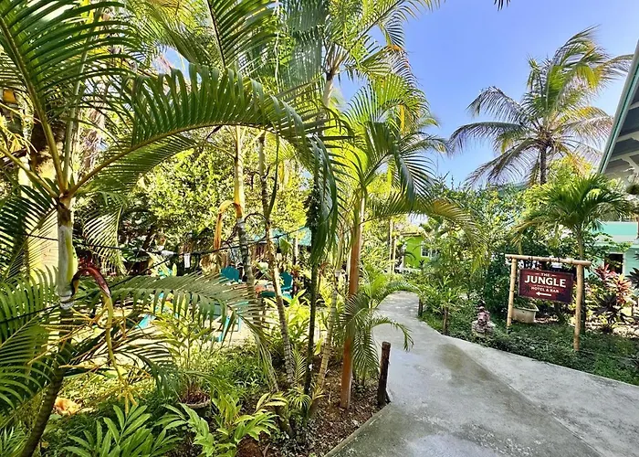The Jungle Hotel And Bar