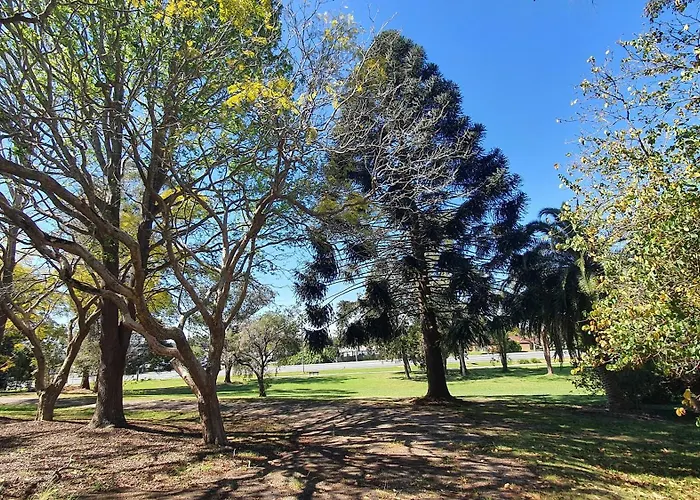 Romsen Nambucca Valley