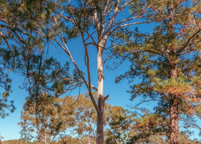 Romsen Nambucca Valley
