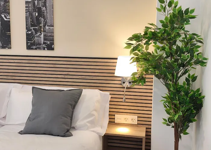 Apartamentos Plaza Costa Calatayud