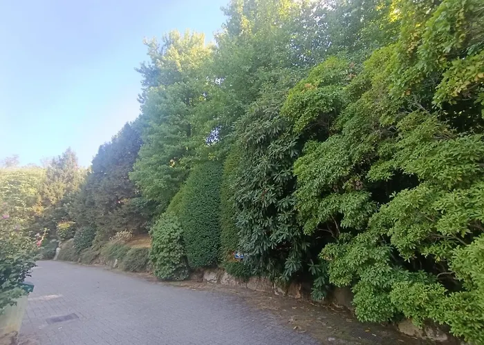 Green Hotel
