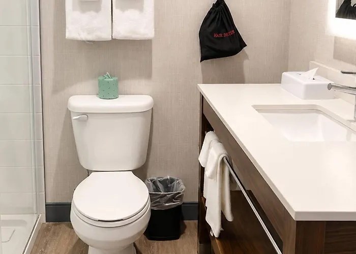 Comfort Inn & Suites Ambassador Bridge