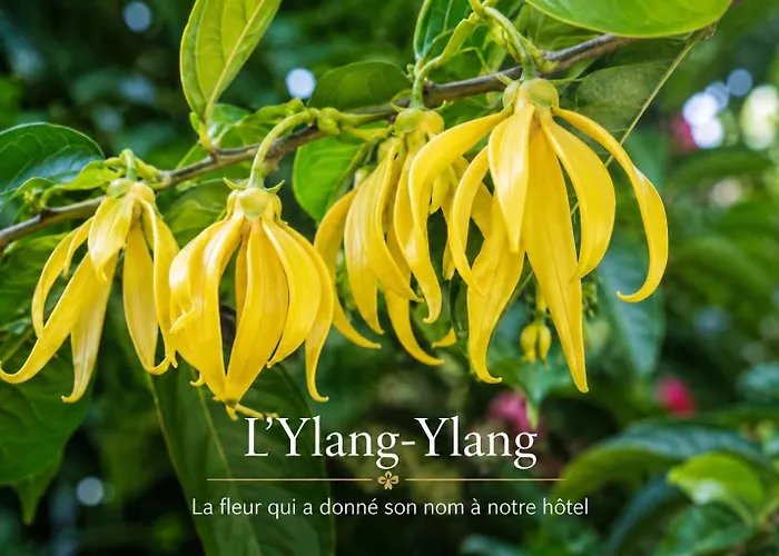 Hotel Ylang-Ylang - A Partir De 16 Ans
