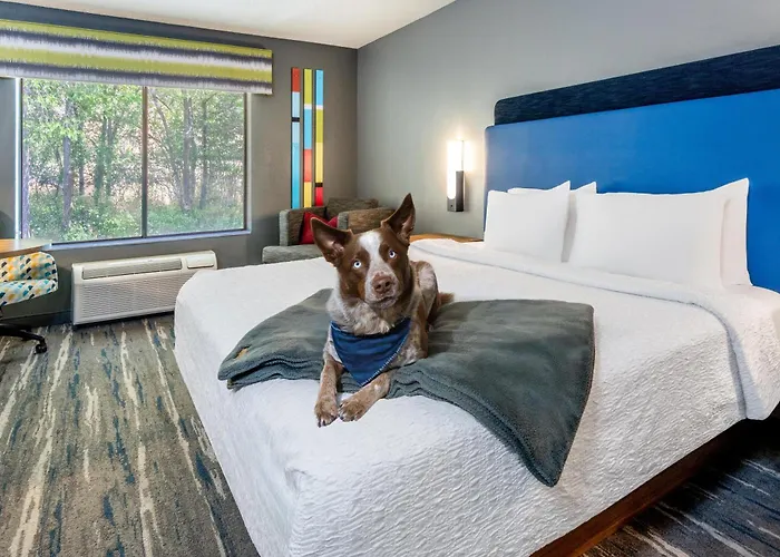 Hampton Inn Glenwood Springs