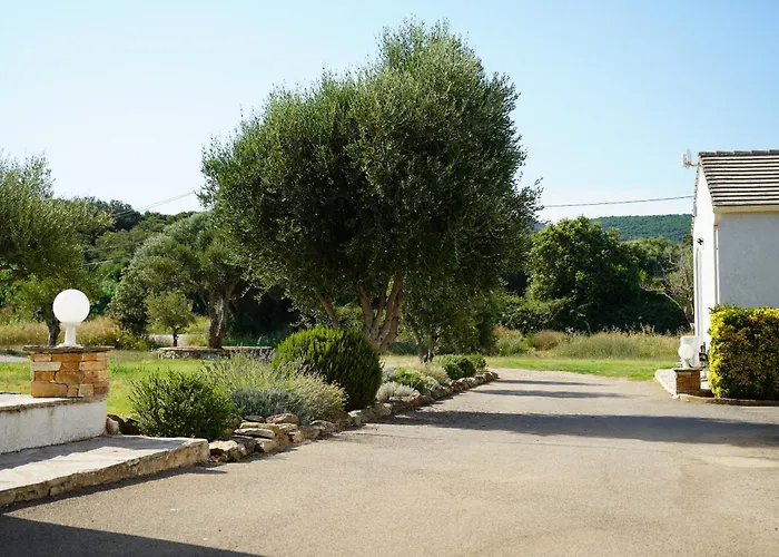 Stella Marina