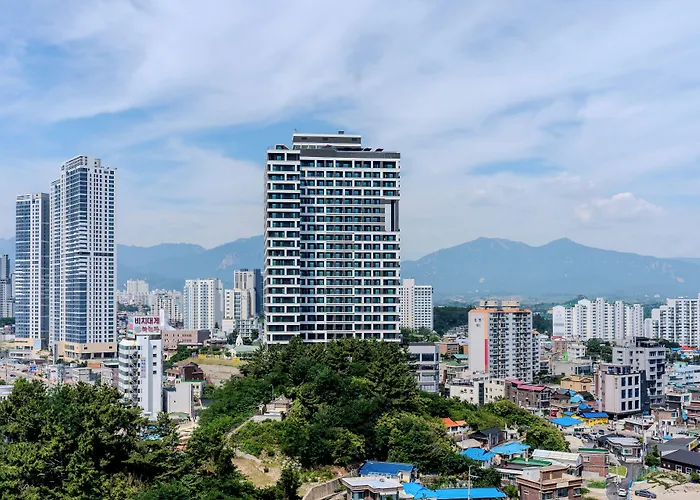 More Than Sokcho