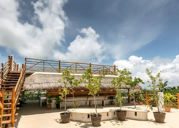La Palma Holbox