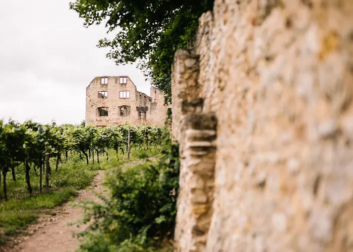 Weinzuhause Hotel-Restaurant-Vinothek