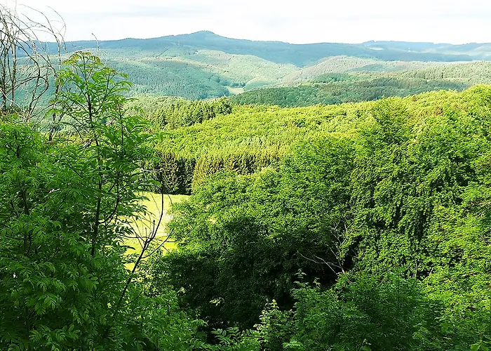 Df Am Ring Nuerburg