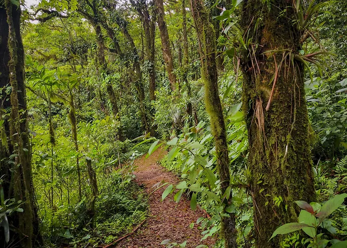 Burbi Lake Lodge Monteverde