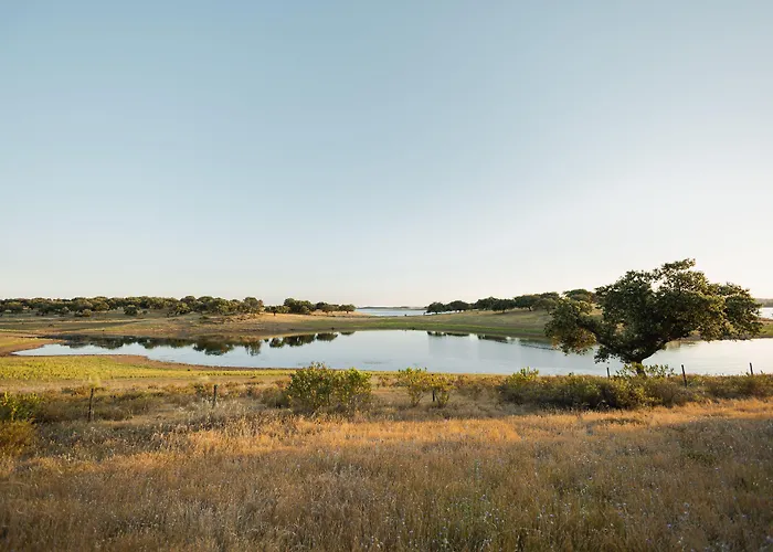 Herdade Dos Delgados