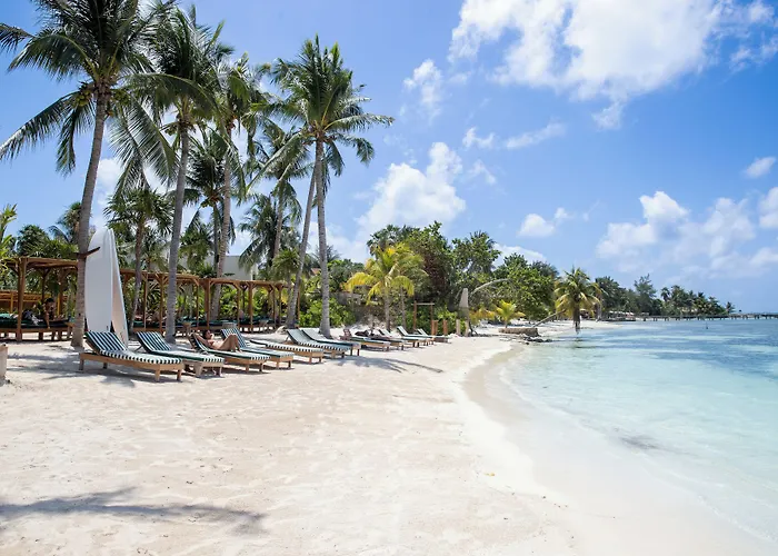 Mayan Monkey Isla Mujeres - Social Hotel (Adults Only)