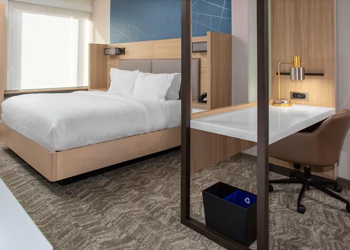 Springhill Suites By Marriott Durham City View