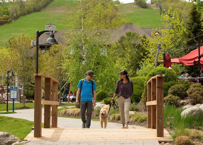 Blue Mountain Resort Mosaic Suites