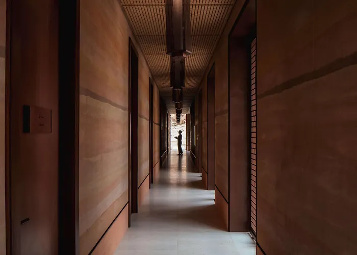 Banyan Tree Alula