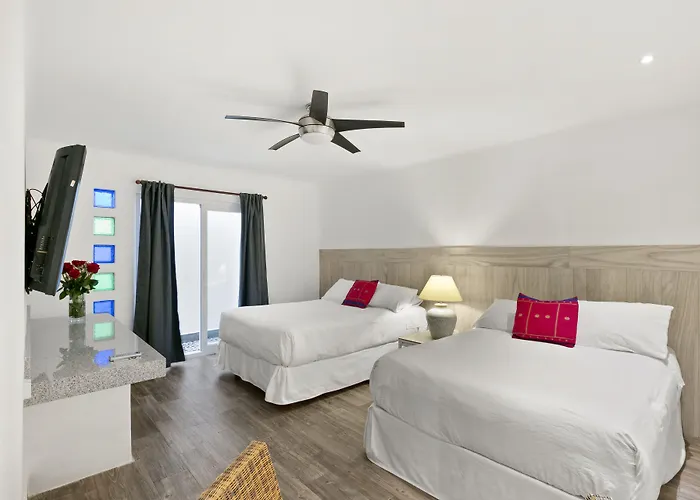 Casa Tortugas Boutique Hotel - A Hidden Gem In Cancun
