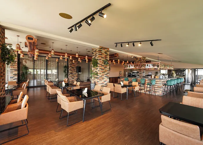Felinger Concept Hotel