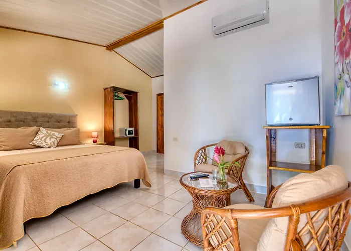 Yucca Beachfront Hotel - Adults Only