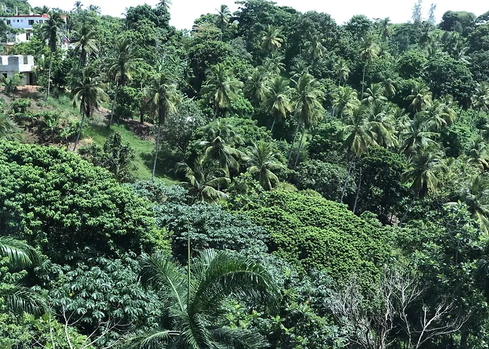 Figaro Hotel Samana