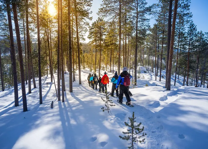 Wilderness Hotel Inari&Igloos