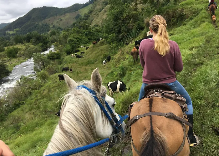 La Cabana Ecohotel - Valle Del Cocora