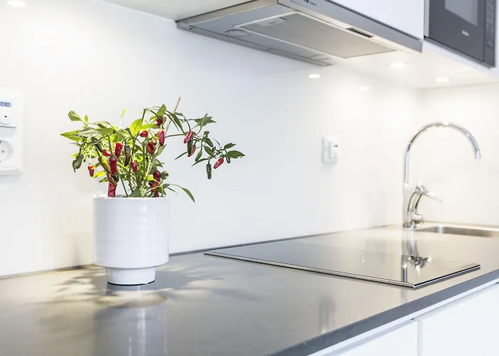 Biz Apartment Hammarby Sjoestad