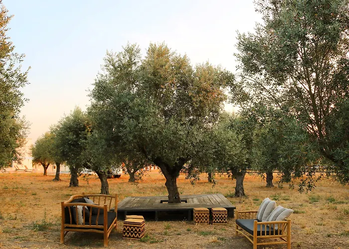 Torre De Palma Wine Hotel, Monforte, A Member Of Design Hotels
